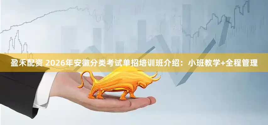 盈禾配资 2026年安徽分类考试单招培训班介绍：小班教学+全程管理