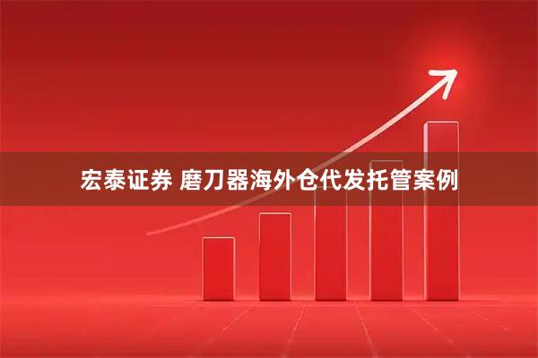 宏泰证券 磨刀器海外仓代发托管案例