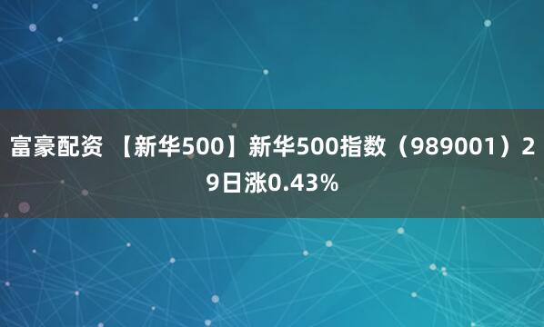 富豪配资 【新华500】新华500指数（989001）29日涨0.43%